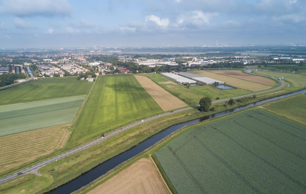 landschap